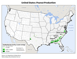images\US\cropprod\USA_Peanut_preview.png